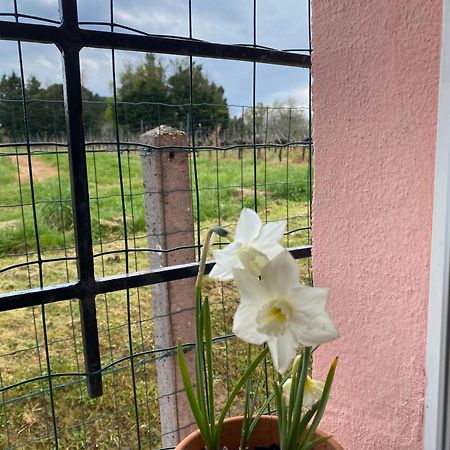 Appartamento Le Bon Coin Périssac Esterno foto